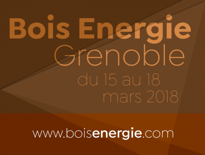 Bois energie grenoble